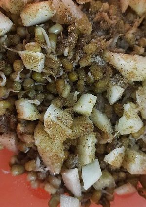 A picture of Sprouts bhel.
