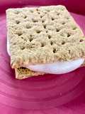 S'mores with Marshmallow and Chocolate