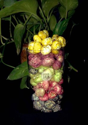 A picture of Fruity panchrangi makhane.