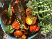 Une photo de moules à la provençale