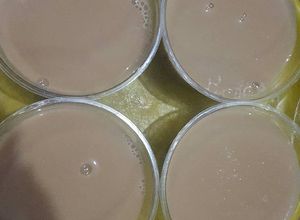 Foto resep Pudding puyo mocca white coffee ^_^