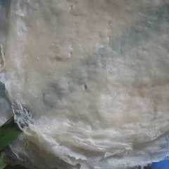 รูปของ Kulit Lumpia Kriuk