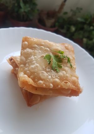 A picture of Chicken box patties.