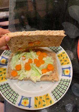 A picture of Mayonnaise lettuce carrots sandwich.