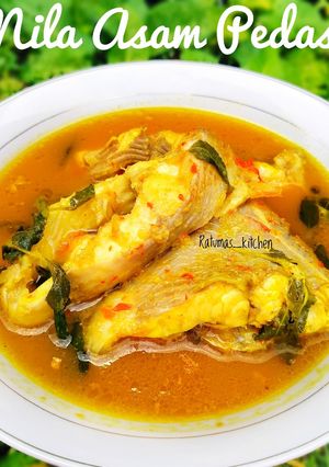 Foto resep Nila Asam Pedas