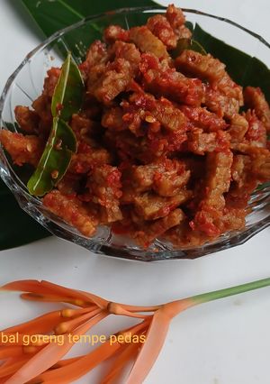Foto resep Sambal Goreng Tempe Pedas