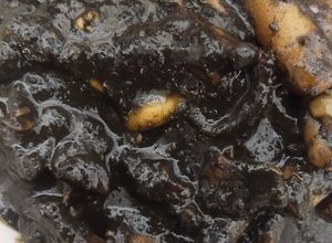Foto resep Sotong/cumi masak hitam