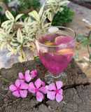 Black jamun mojito