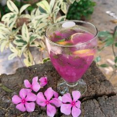 Black jamun mojito A picture of Black jamun mojito.