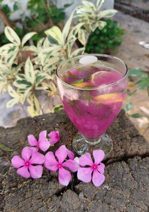 A picture of Black jamun mojito.