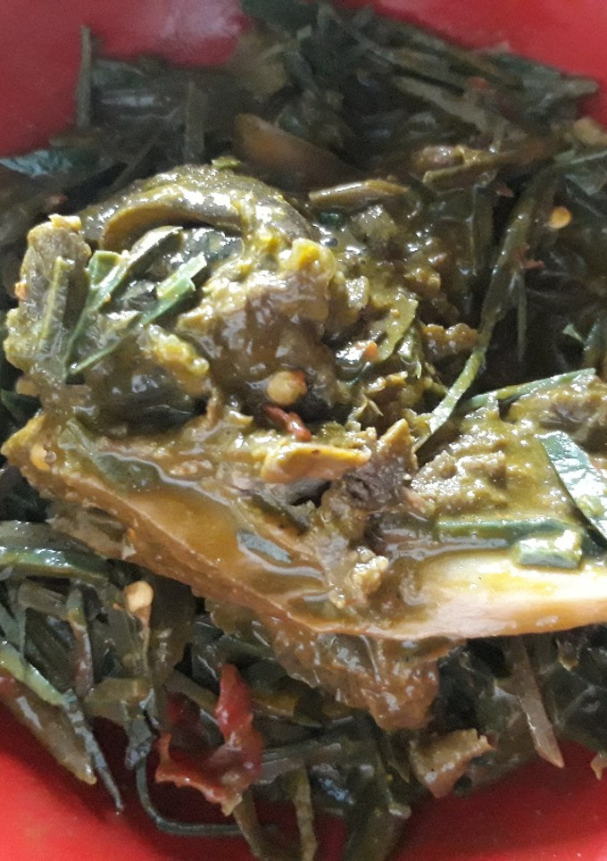 A picture of Ugba with soft bone.