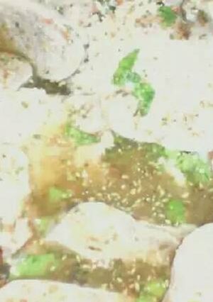 Foto principal de Lengua a la vinagreta