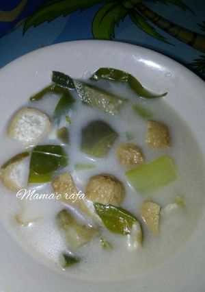 Foto resep Sayur lodeh tahu campur