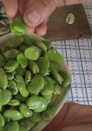 Una foto de Como cocinar habas verdes?
