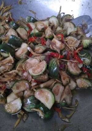Foto resep Tumis terong hijau kecil plus teri medan