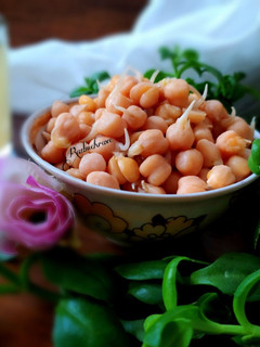 عکسی از دستور نخود جوانه زده وپخته شده