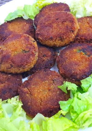 A picture of Mutton Shami kebab.