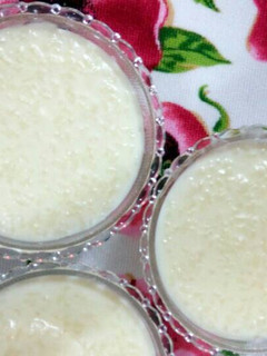 A picture of Rice Pudding.