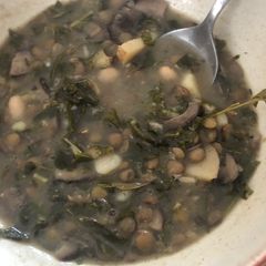 Soup A picture of Soup.