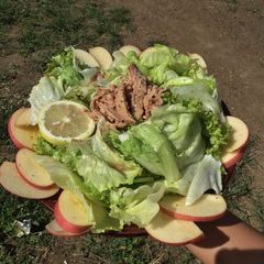 Composed salad A picture of Composed salad.