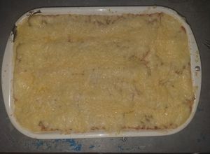 Una foto de Lasaña o Lasagne como sea 😂