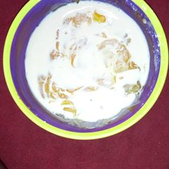 A picture of Custard.