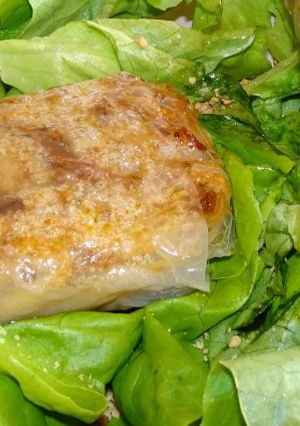 Une photo de Nems (vegan)