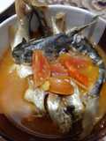 Kelo Kuning Keting Laut