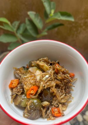 Foto resep Tumis Terong Teri Medan