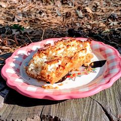 A picture of Coconut Bars and Graham Crackers.