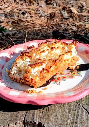 A picture of Coconut Bars and Graham Crackers.