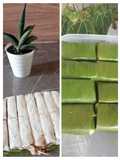 Lemper ayam magic com