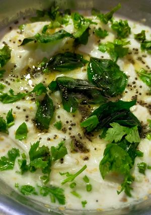 A picture of Cucumber Raita.