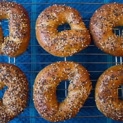 A picture of NY style Bagels.