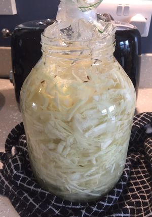 A picture of Sauerkraut.