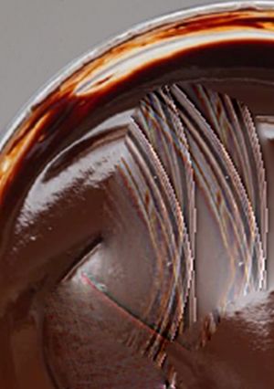 Una foto de Receta De Salsa De Chocolate