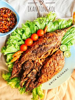 Foto resep Ikan Tongkol Bakar