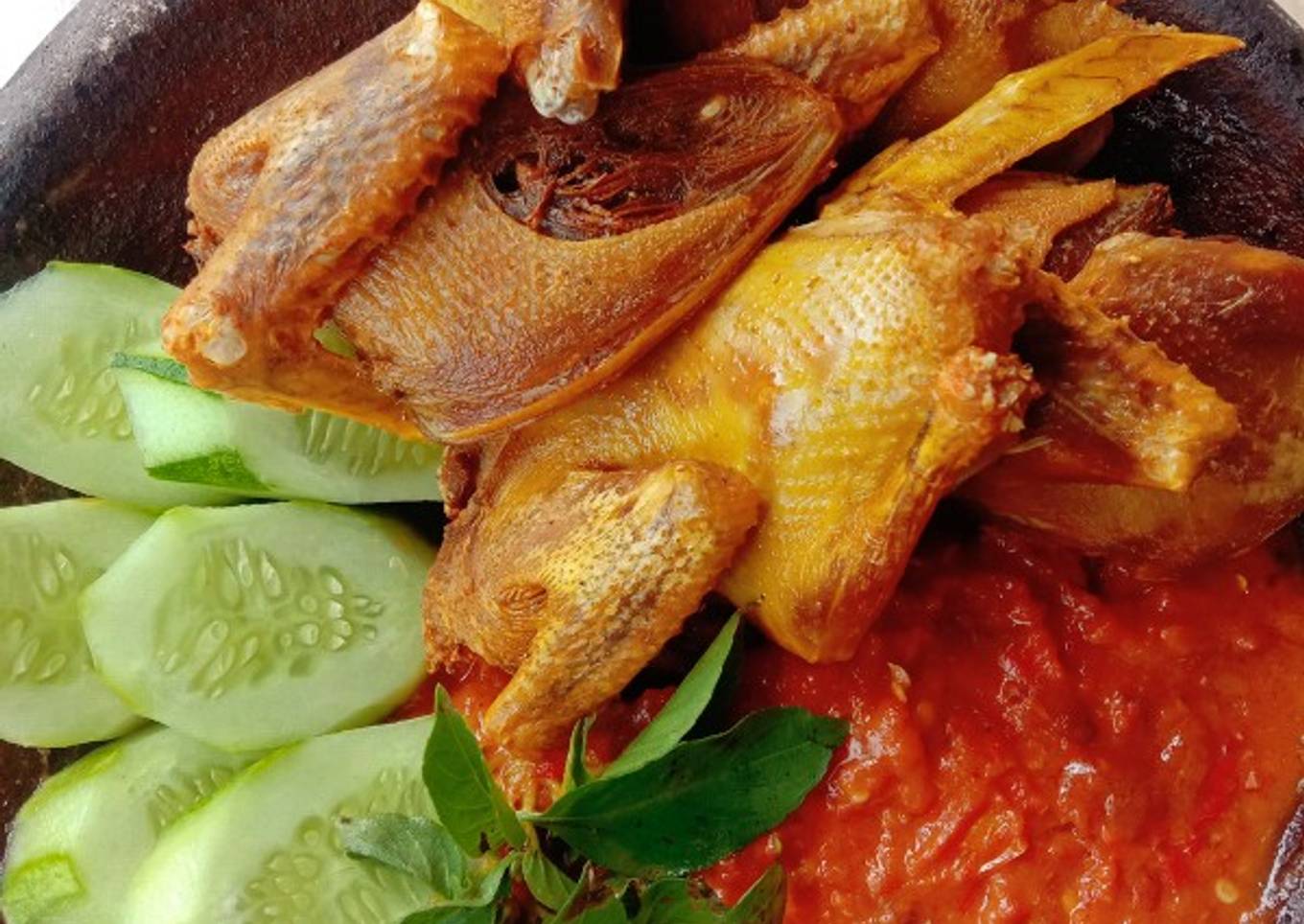 Lalapan Burung Dara Goreng