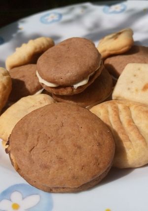 A picture of Chocolate and milk cookies.
