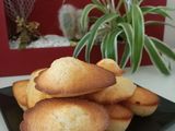 🤩 Madeleine 🤩