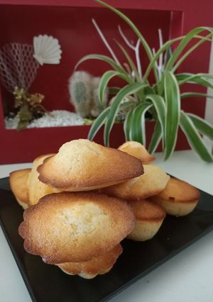 Une photo de 🤩 Madeleine 🤩