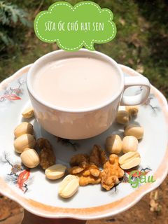 Hình của món Sữa óc chó hạt sen.