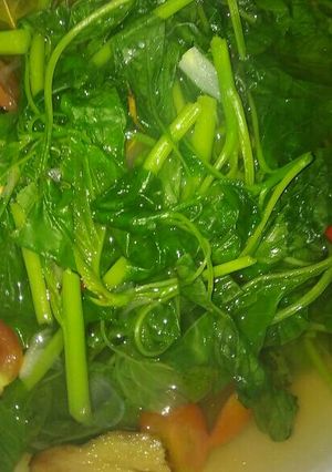Foto resep Sayur bayam bening