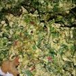 Buñuelos de remolacha y espinacas faciles