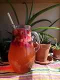 Sangria de Frutos Vermelhos