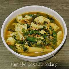 A picture of Tumis Kol Pakis Ala Padang.