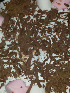 A picture of Pinnacolada cake decorated with marshmallows.