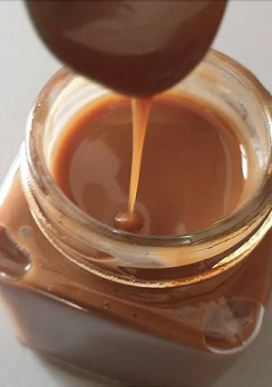 Une photo de Caramel végan