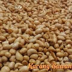 รูปของ Kacang bawang