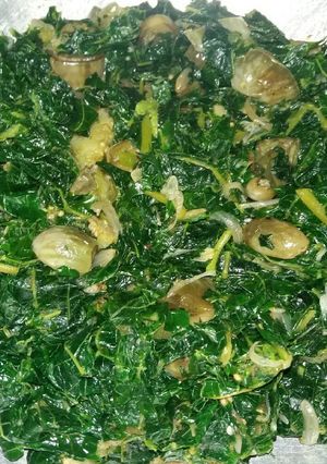 Foto resep Tumis Pucuk Kates Muda